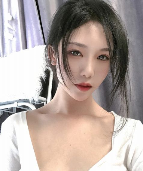 仙台有树电视剧免费
