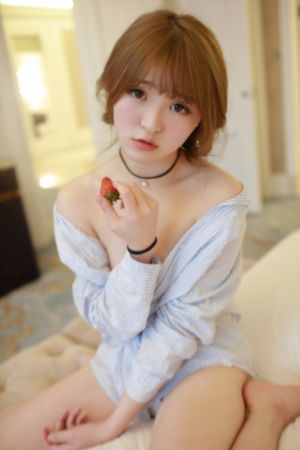 南来北往